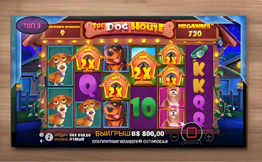 nomadcasino com 254f83